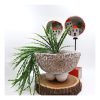Topçuklar - Yuvarlak Kase - Naturel ve Beyaz - Görsel 5